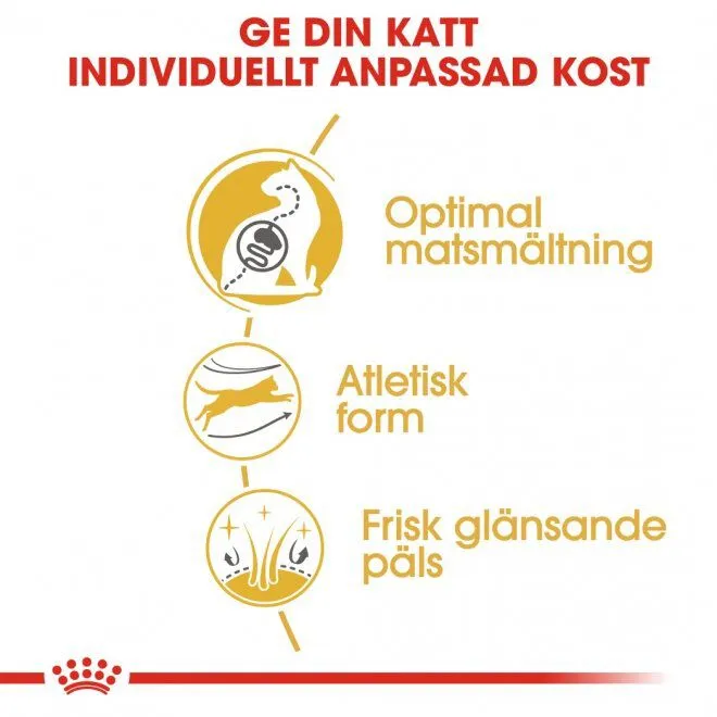 Bild 2 för Royal Canin Bengal (2 kg)