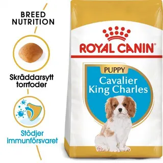 Produktfoto för Royal Canin Breed Cavalier King Charles Spaniel Junior 1,5 kg (1,5 kg)