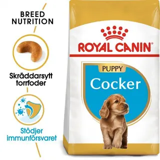 Produktfoto för Royal Canin Breed Cocker Spaniel Junior 3 kg (3 kg)