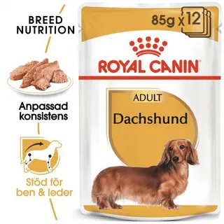 Produktfoto för Royal Canin Breed Dachshund 12x85g
