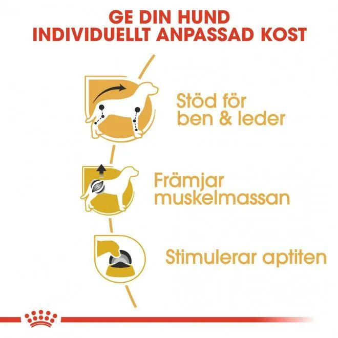 Bild 2 för Royal Canin Breed Dachshund 12x85g