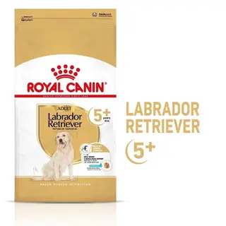 Produktfoto för Royal Canin Breed Labrador Retriever Adult 5+ 12 kg