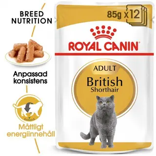Produktfoto för Royal Canin British Shorthair 12 x 85 g