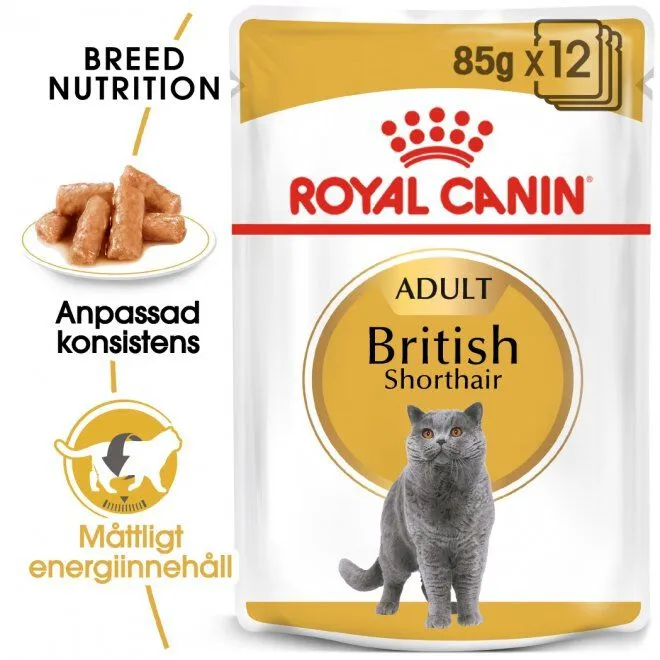Bild 1 för Royal Canin British Shorthair 12 x 85 g
