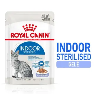 Produktfoto för Royal Canin Cat Adult Indoor Sterilised Jelly 12x85 g