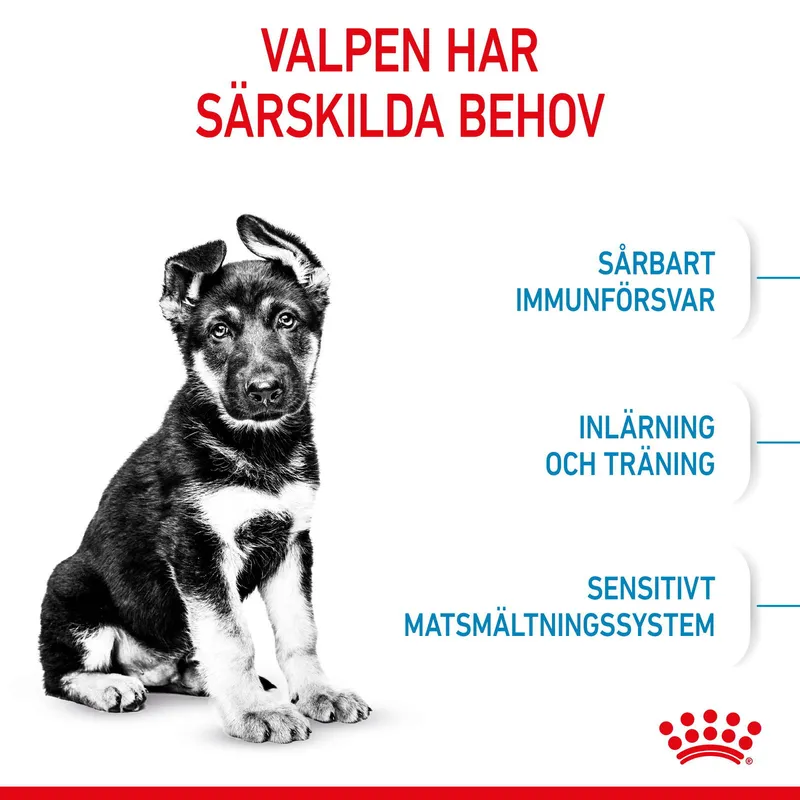 Bild 2 för Royal Canin Dog Maxi Puppy (15 kg)