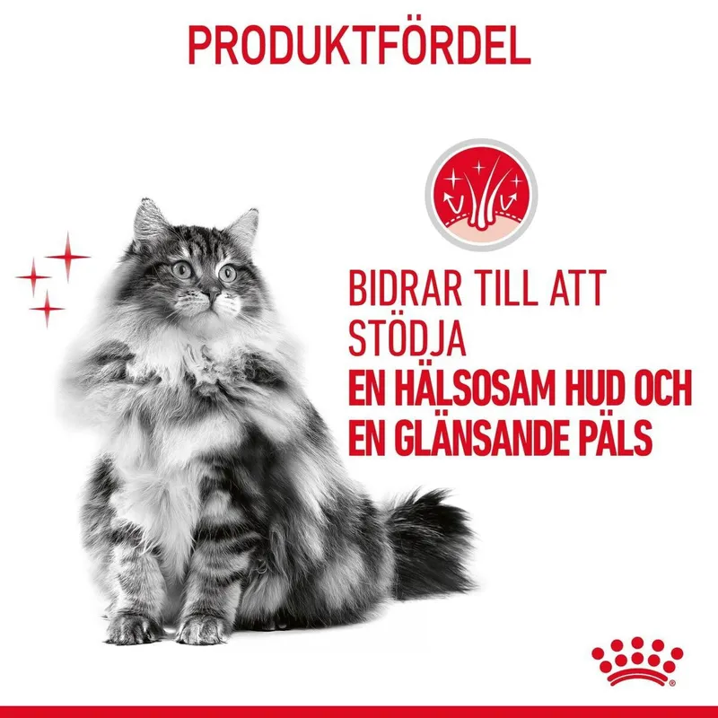 Bild 2 för Royal Canin Hair & Skin Care Gravy 12 x 85 g