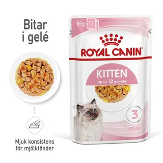 Produktfoto för Royal Canin Kitten Jelly 12x85 g