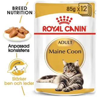 Produktfoto för Royal Canin Maine Coon 12 x 85 g