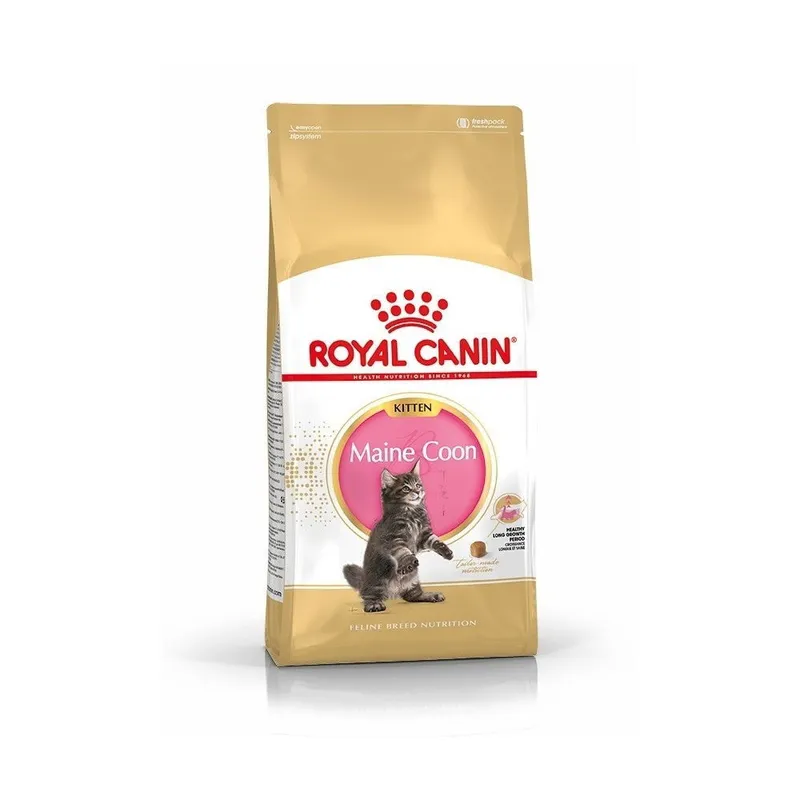 Bild 2 för Royal Canin Maine Coon Kitten (4 kg)