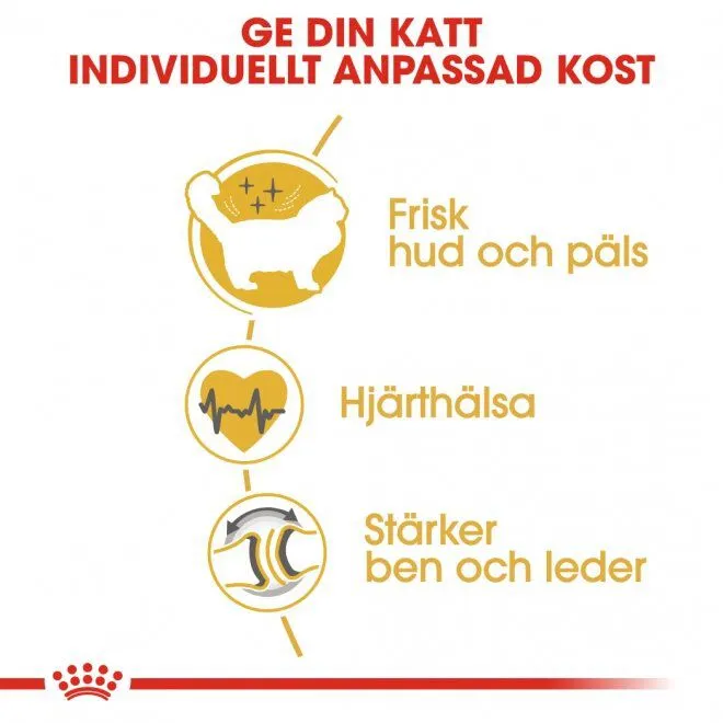 Bild 2 för Royal Canin Ragdoll (400 g)