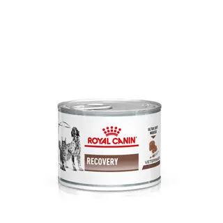 Produktfoto för Royal Canin Veterinary Diets Dog/Cat Recovery Wet 12x195 g