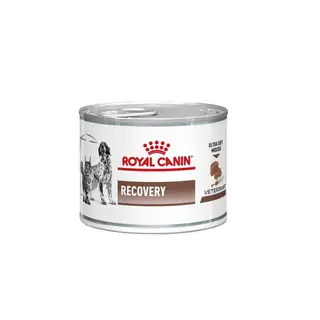 Produktfoto för Royal Canin Veterinary Diets Dog/Cat Recovery Wet 12x195 g