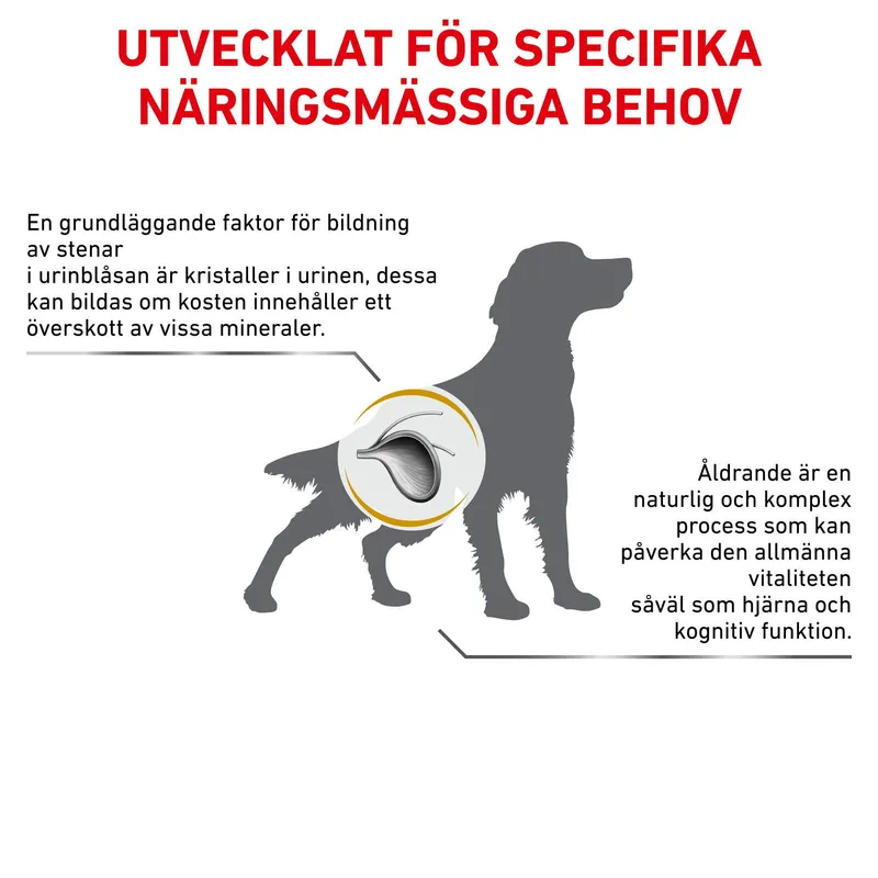 Bild 2 för Royal Canin Veterinary Diets Dog Urinary S/O Ageing +7 12x100 g