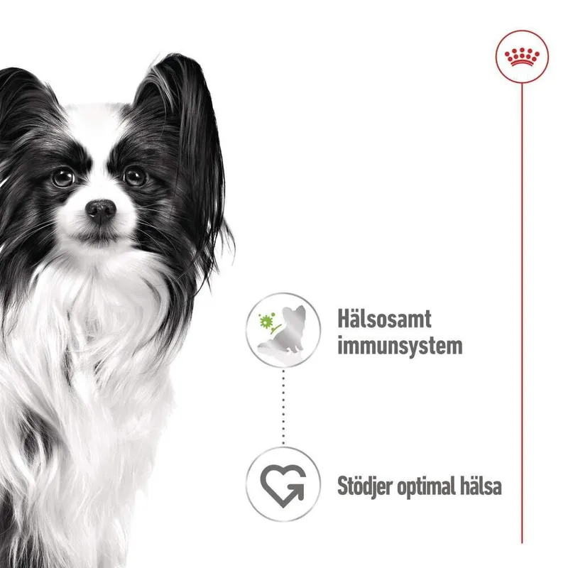 Bild 2 för Royal Canin X-small Adult 12 x 85 g