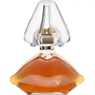 Produktfoto för Salvador Dali Edp Spray 100 ml