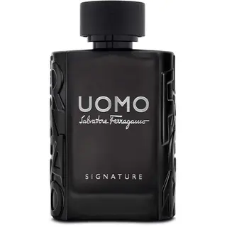 Produktfoto för Salvatore Ferragamo Uomo Signature Eau de Parfum 100 ml