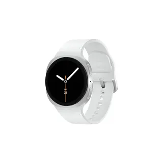 Produktfoto för Samsung Galaxy Watch8 40mm BT (silver)