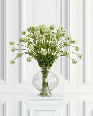 Produktfoto för Scabiosa snittblomma grön