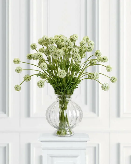 Bild 1 för Scabiosa snittblomma grön