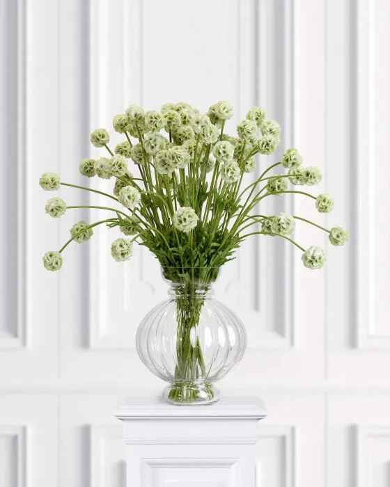 Bild 2 för Scabiosa snittblomma grön