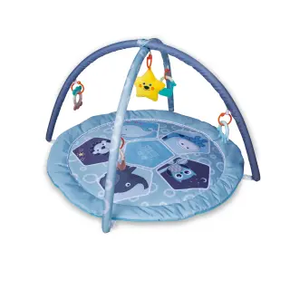 Produktfoto för Scandinavian Baby Products Zoo Activity Gym