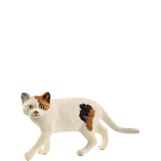 Produktfoto för Schleich American Shorthair Cat