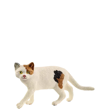 Bild 2 för Schleich American Shorthair Cat