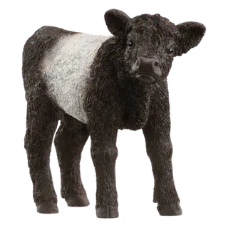 Produktfoto för Schleich Galloway kalv