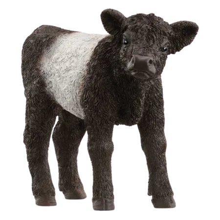 Bild 2 för Schleich Galloway kalv