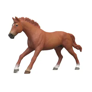 Produktfoto för Schleich® HORSE CLUB English Thoroughbred Hingst 14915 - Schleich -  Leksaksaffären