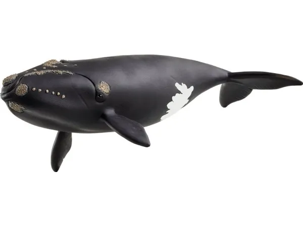 Alternativ bild 0 för Schleich North Atlantic Right Whale