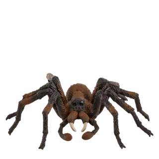 Produktfoto för Schleich schleich® Aragog