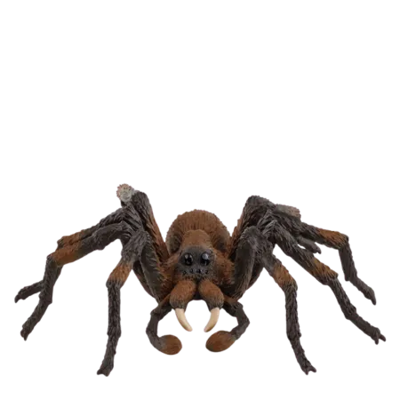 Bild 2 för Schleich schleich® Aragog