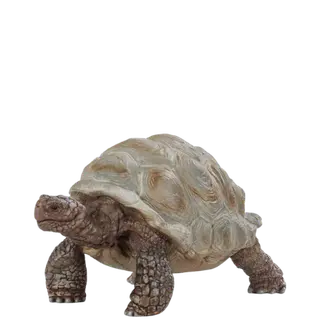 Produktfoto för Schleich Wild Life - Giant tortoise