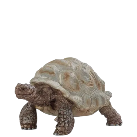 Bild 2 för Schleich Wild Life - Giant tortoise