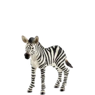 Produktfoto för Schleich Wild Life - Zebraföl