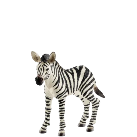 Bild 2 för Schleich Wild Life - Zebraföl