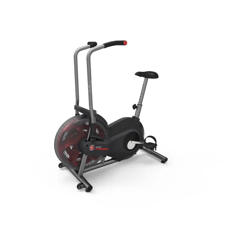 Bild 1 för Schwinn Airdyne AD2