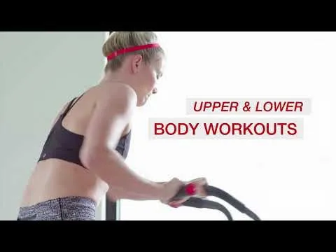 Bild 4 för Schwinn Airdyne AD2