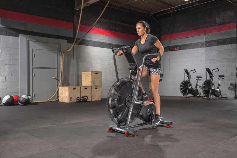 Bild 3 för Schwinn Airdyne AD8