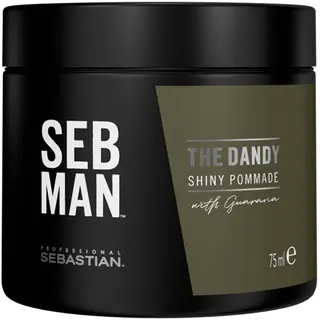 Produktfoto för SEB MAN   The Dandy Shiny Pommade 75 ml