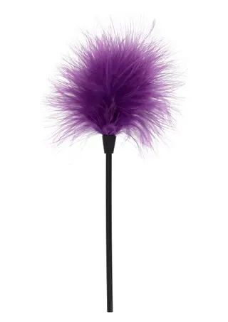 Produktfoto för SEXY FEATHER TICKLER PURPLE