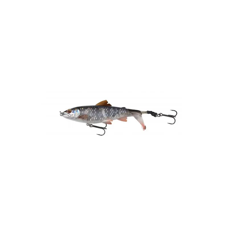 Bild 2 för SG 3D SmashTail 10cm 17g F Roach