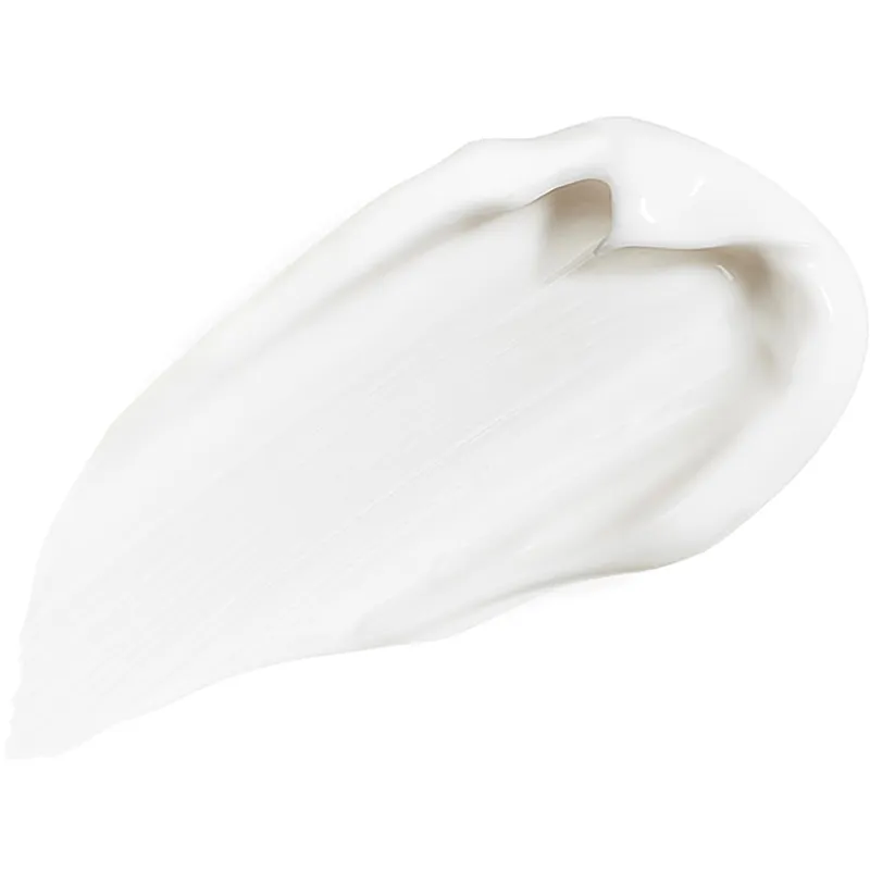 Bild 2 för Sisley - All Day All Year Day Cream 50 ml på Skincity.com
