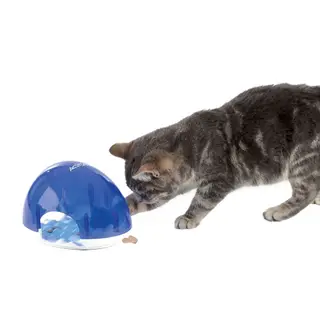 Produktfoto för SnackBox Cat 19x13x14cm