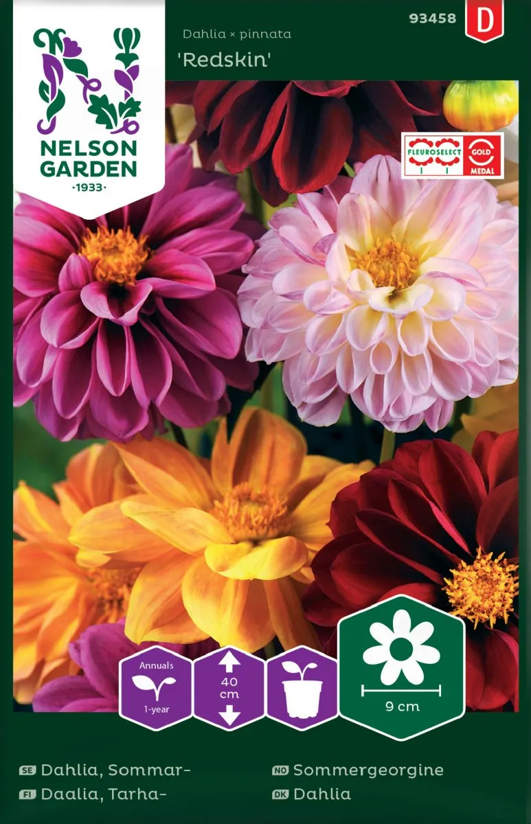 Alternativ bild 0 för Sommardahlia 'Redskin', mix