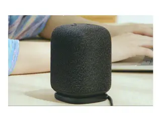 Produktfoto för Sony Linkbuds Trådlös bluetooth-högtalare (Svart)
