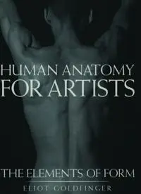 Produktfoto för Human Anatomy for Artists
