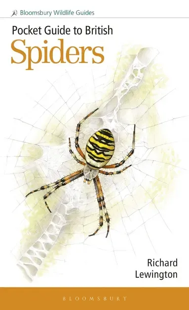 Alternativ bild 0 för Pocket Guide to British Spiders